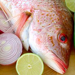 Seafood