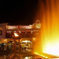 Iguana Cantina